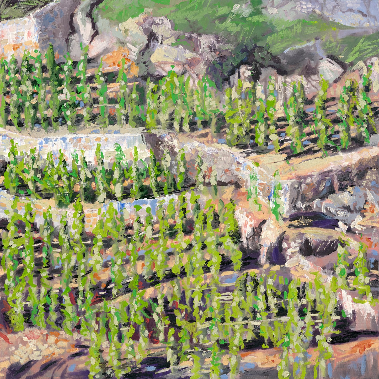 Northern Rhone - Fine Art Reproduction Print