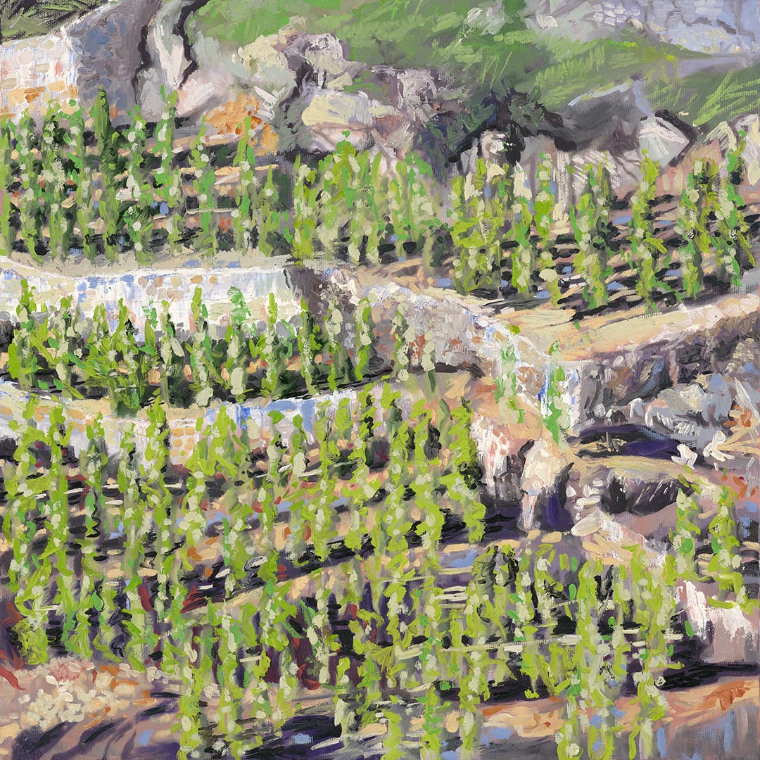 Northern Rhone - Fine Art Reproduction Print