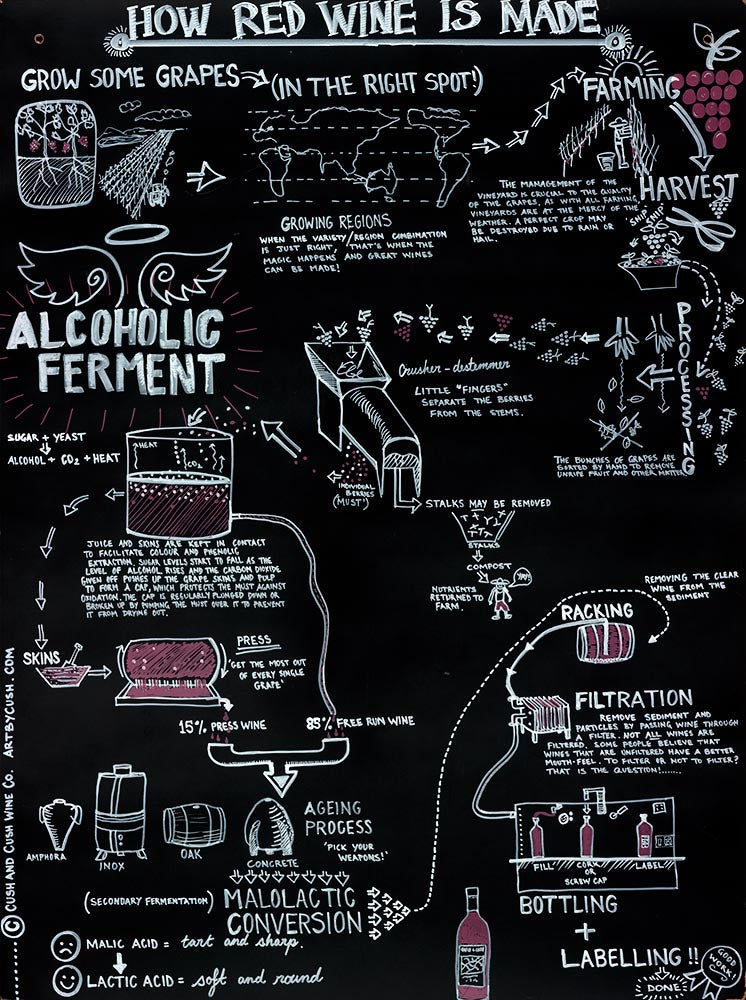 How Red Wine is Made - Fine Art Paper Print by Kris Cush