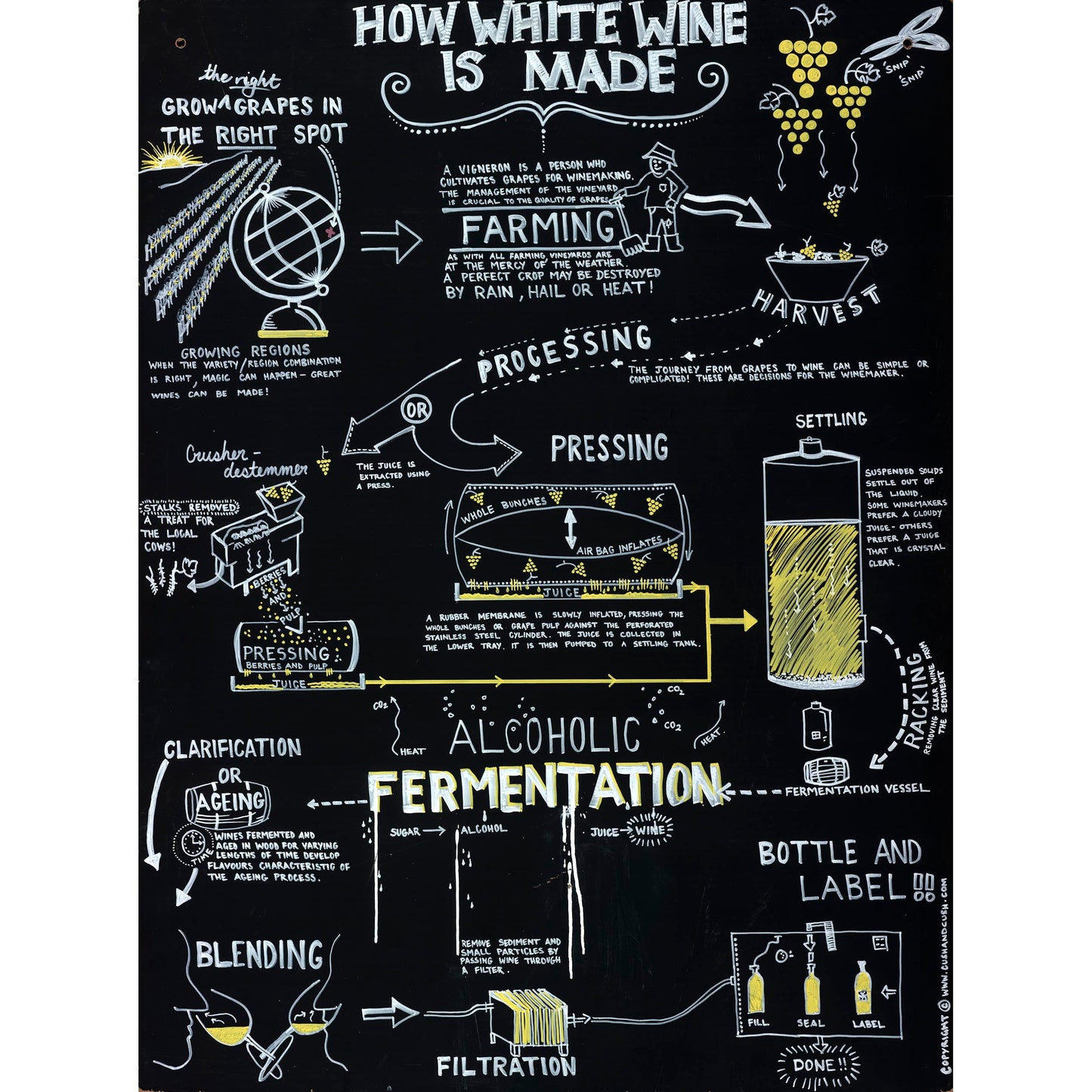 How White Wine is Made - Fine Art Canvas Print by Kris Cush
