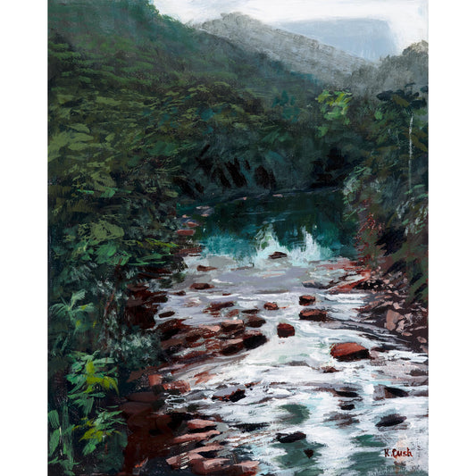 Daintree - Fine Art Reproduction Print