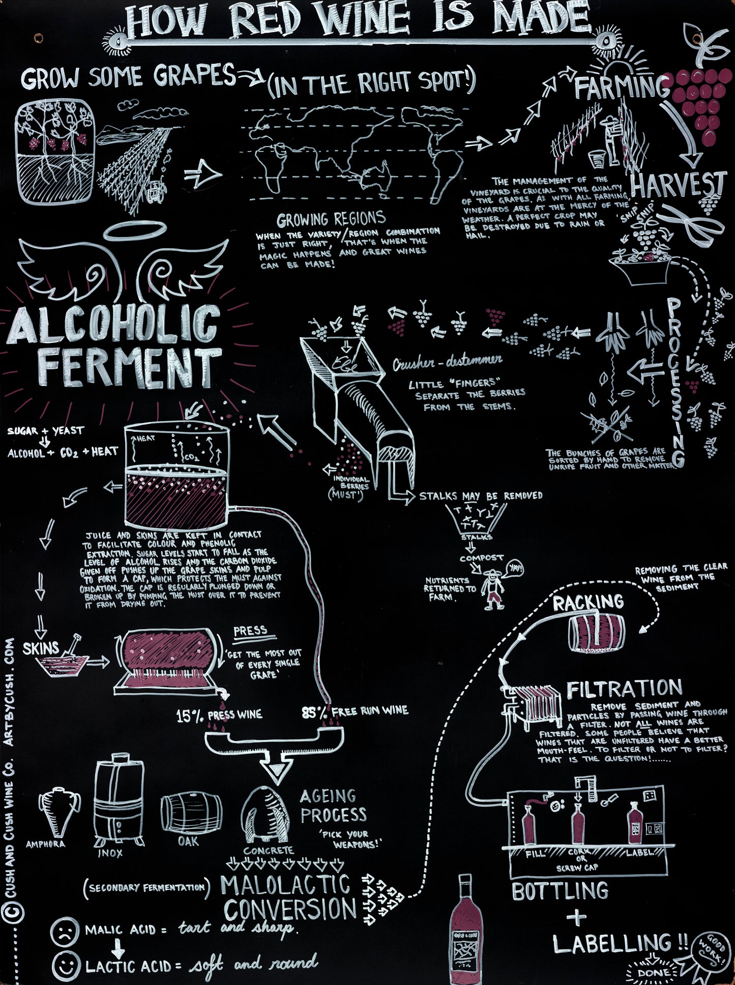 How Red Wine is Made - Fine Art Reproduction Print