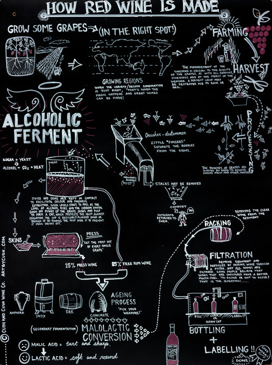 How Red Wine is Made - Fine Art Reproduction Print