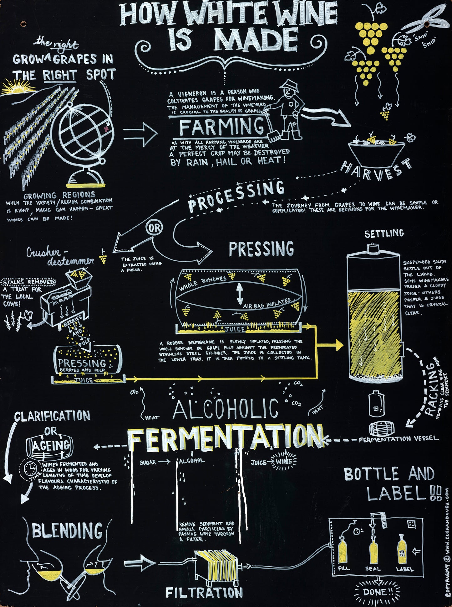 How White Wine is Made - Fine Art Reproduction Print