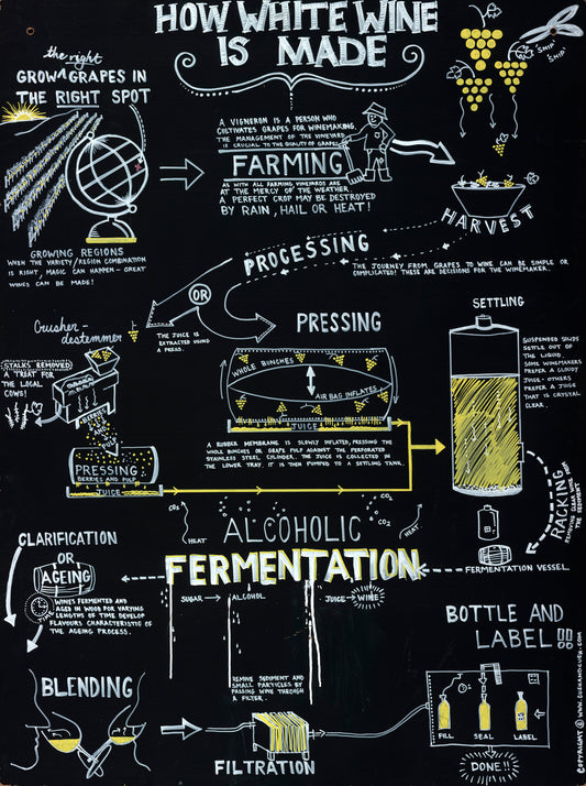 How White Wine is Made - Fine Art Reproduction Print