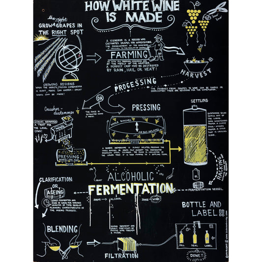 How White Wine is Made - Fine Art Paper Print by Kris Cush