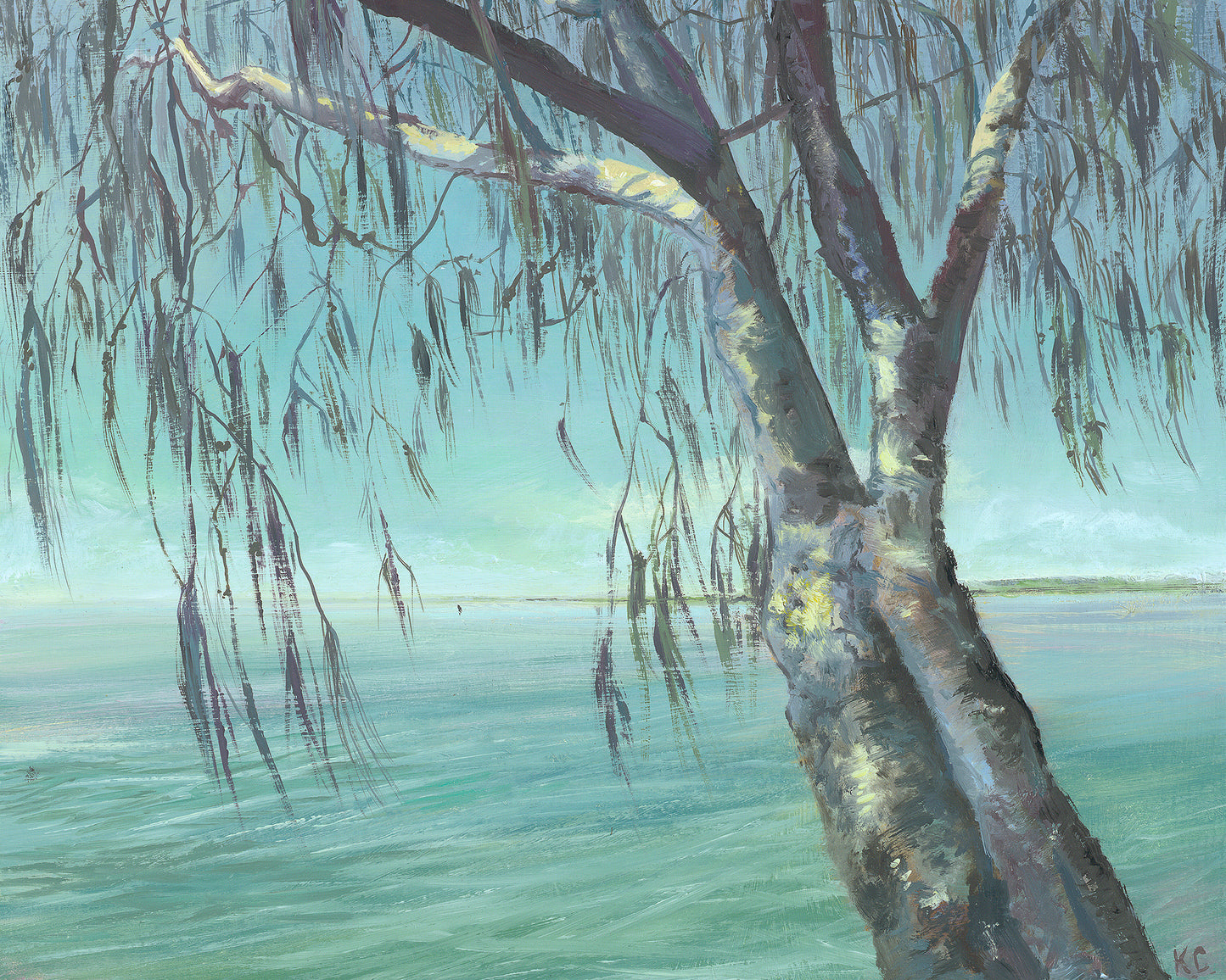 Tea Tree